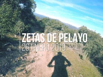 Zetas de Pelayo